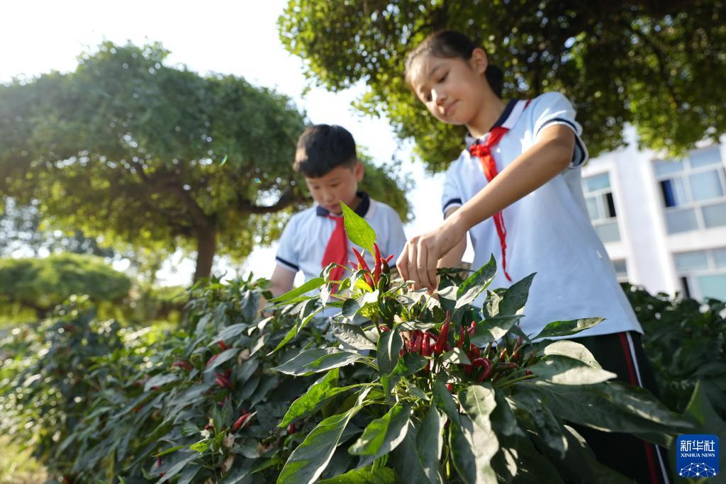 捕鱼达人之海底捞下载